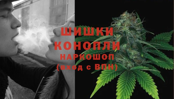 шишки Новокубанск