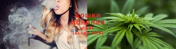не бодяженный Новозыбков