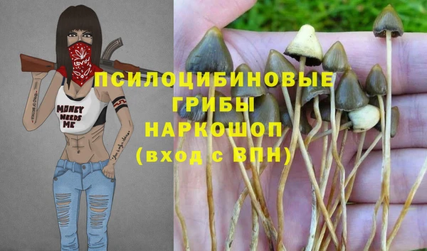 ECSTASY Нея