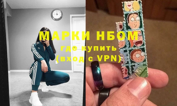 шишки Новокубанск