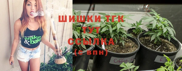 не бодяженный Новозыбков