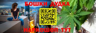 индика Беслан