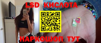 индика Беслан