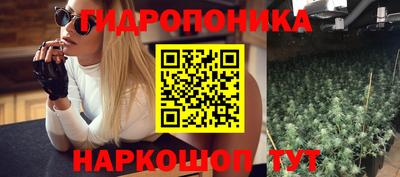 эйфоретик Берёзовский