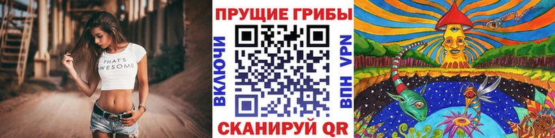 Галлюциногенные грибы прущие грибы  сколько стоит  Заводоуковск 