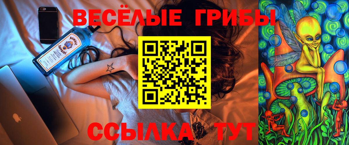 Галлюциногенные грибы Psilocybe Заводоуковск