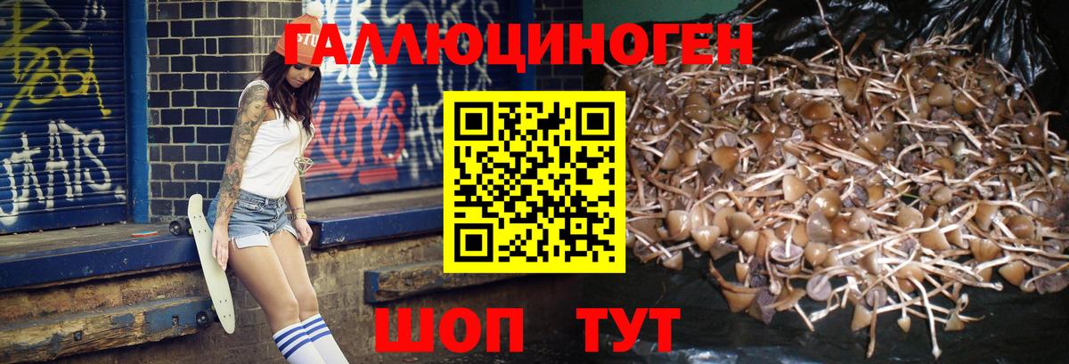 Псилоцибиновые грибы GOLDEN TEACHER  Псилоцибиновые грибы ЛСД  Заводоуковск 