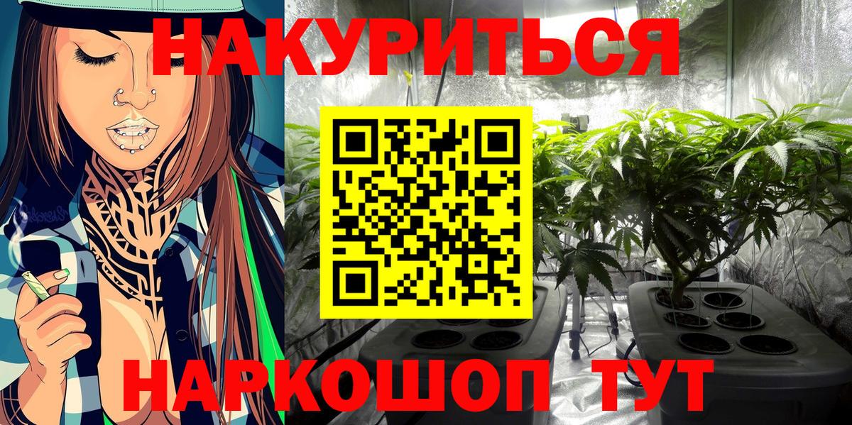 Марихуана план  Вход с VPN  Заводоуковск  Шишки марихуана конопля 
